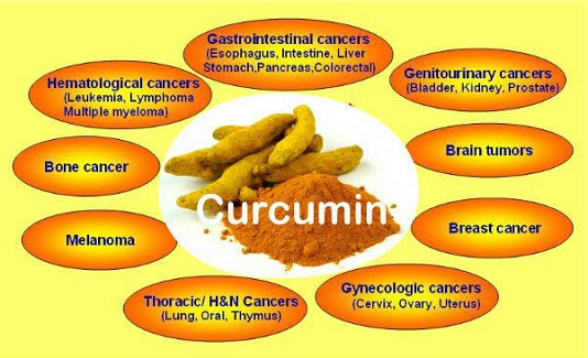 curcumin1