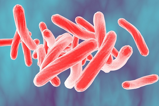 bacteriumtuberculosis